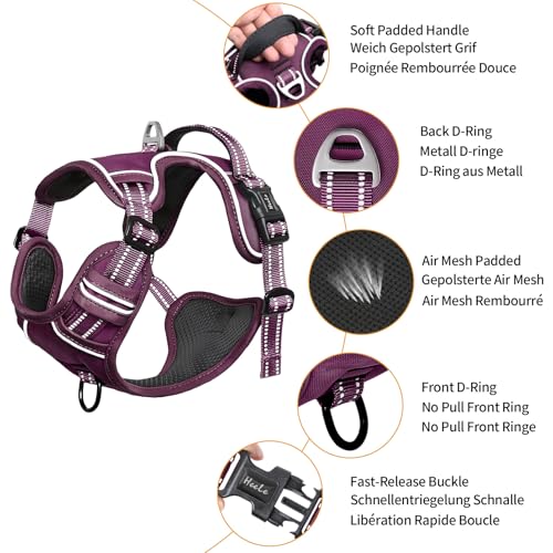 HEELE Animal Harness in S, Purple(Matching Trim)