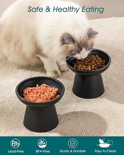 vancasso Pet Feeder in Black