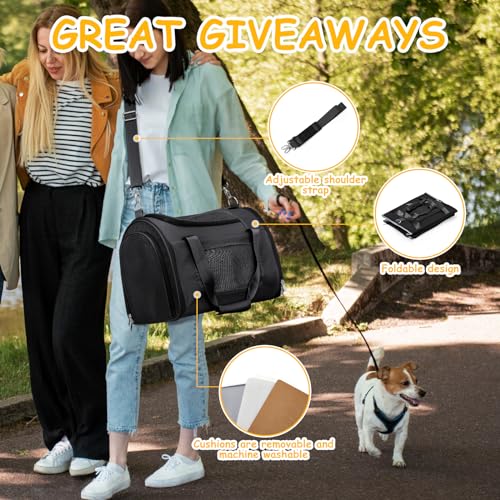 WEPLAN Animal Carrier in 17.9"L x 11.8"W x 12.9"H, Black
