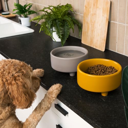 Waggo Pet Feeder in Small, Clay