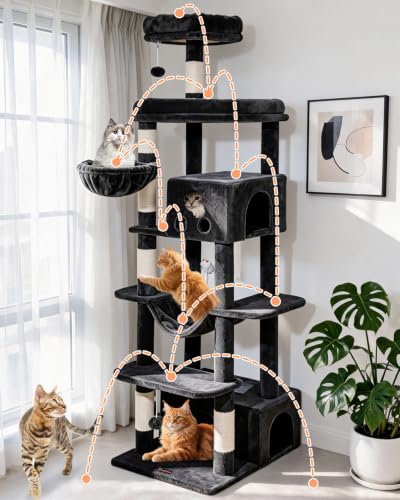 Taoqimiao Pet Activity Structure in 79 inch, Smoky Gray