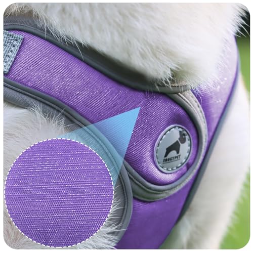 SAEGYPET Animal Harness in XS, Purple