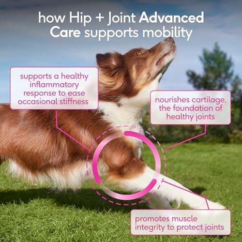 Native Pet Animal Nutritional Supplement in 30 Servings, Advanced Care