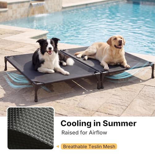 Veehoo Pet Bed Mat in 35.0"L x 25.0"W x 7.0"Th, 2 Connected Beds-Black
