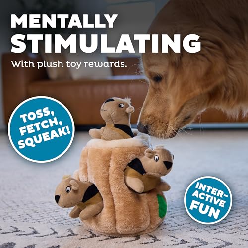 Outward Hound Pet Toy in Large (Pack of 1), Squirrel Large