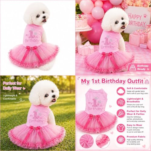 Petitebella Pet Apparel in X-Small, Pink/Pinks Lace