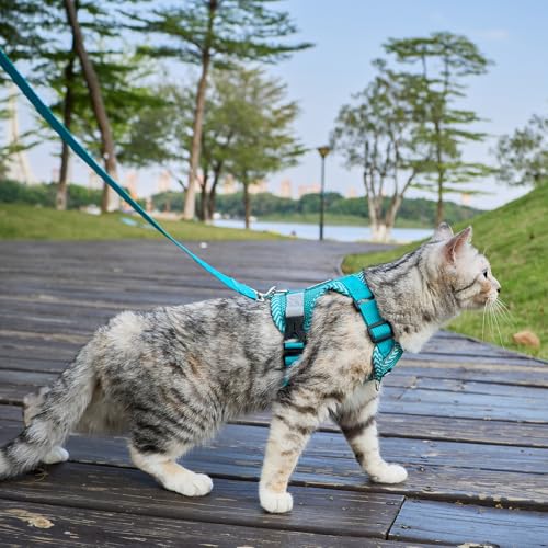 pangdi Pet Supplies in Small, Turquoise