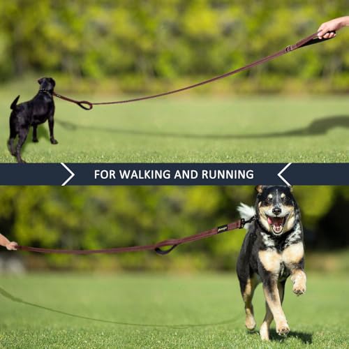 PLUTUS PET Leash in 4 FT, Chocolate
