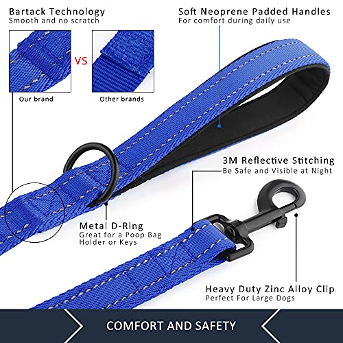 PLUTUS PET Leash in 4 FT, Navy Blue