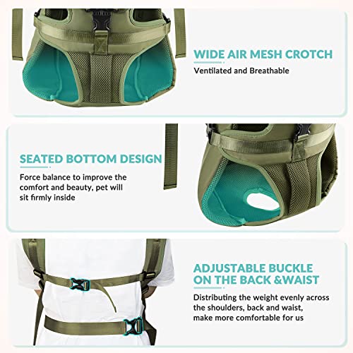 Lukovee Animal Carrier in 15.1"L x 11.7"W x 2.7"H, Green