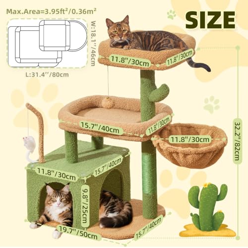 Taoqimiao Pet Activity Structure in L, Cactus