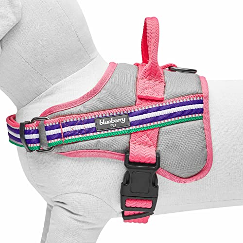Blueberry Pet Animal Harness in Emerald,Orchid and Pink