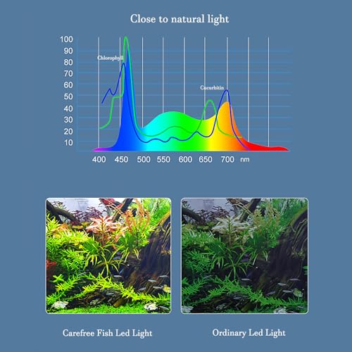 Carefree Fish Lamp in 5 to 25 gallons, Black