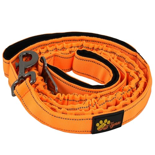 ADITYNA Leash in 6ft-7.5ft, Orange