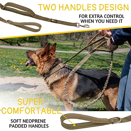 ADITYNA Leash in Medium, Large and Extra-Large, Ranger Green