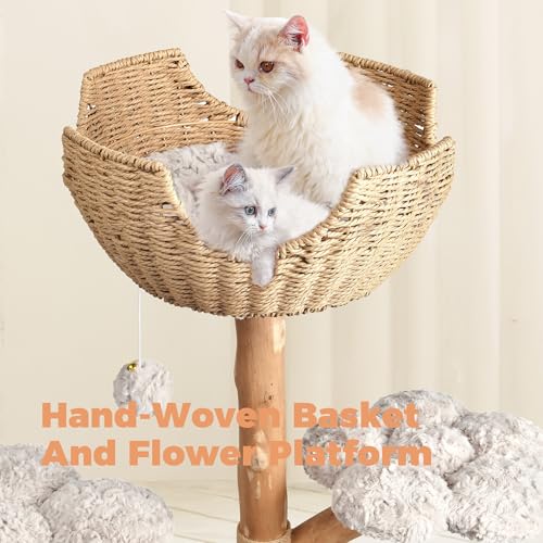 Easyego Pet Activity Structure in 43.3'', Bullet Gray