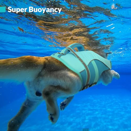 Queenmore Pet Apparel in X-Small, LightBlue