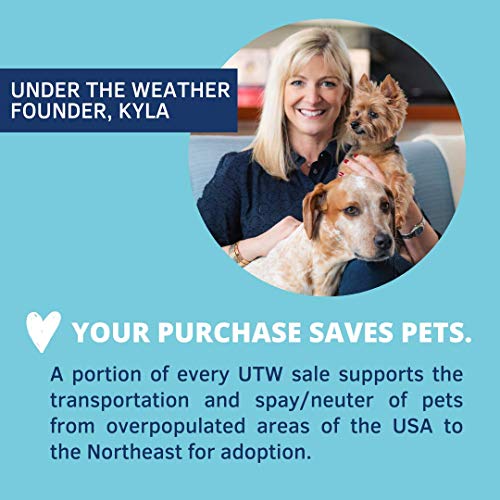 Under the Weather Pet Food in 6 Ounce (Pack of 6)