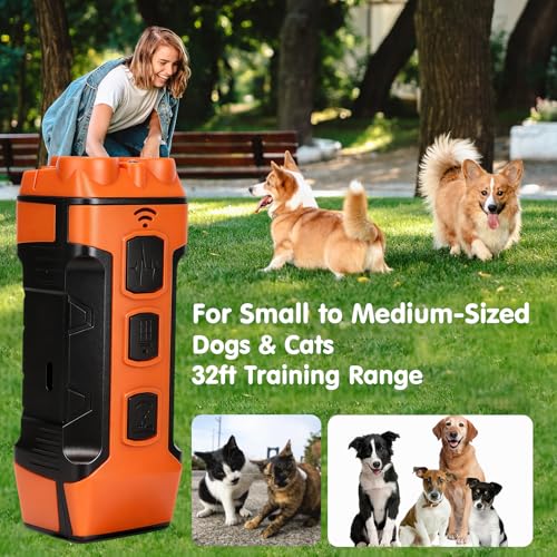 GleeGearNex Pet Supplies in orange