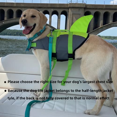 Doglay Pet Apparel in Medium, Green-Shark