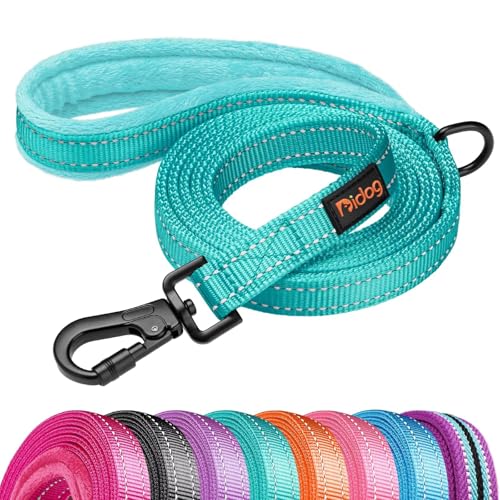 Didog Leash in 3/4''x 6 FT, Teal