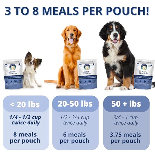 Under the Weather Pet Food in 6 Ounce (Pack of 1)
