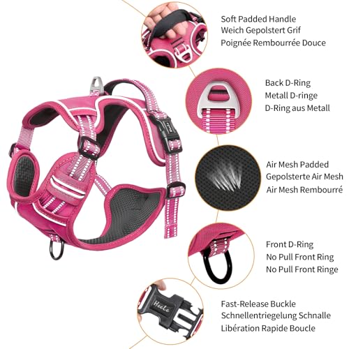 HEELE Animal Harness in S, Rose(Matching Trim)