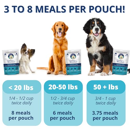 Under the Weather Pet Food in 6 Ounce (Pack of 1)