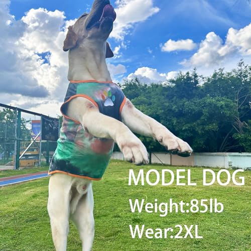 PriPre Pet Apparel in Medium, Vest Green