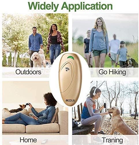 MODUS Pet Supplies in Gold Barks No More Dog Training Tool