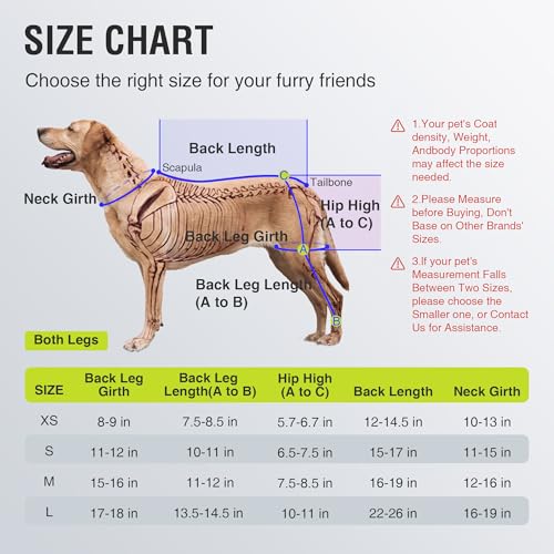 KISFLY Pet Supplies in XS, Black