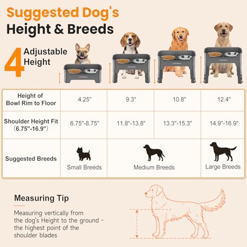 URPOWER Pet Feeder in Medium, Grey