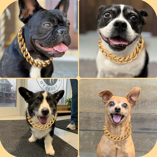 BAOBOTE Animal Collar in 12"(for 10"-11" Neck), Gold