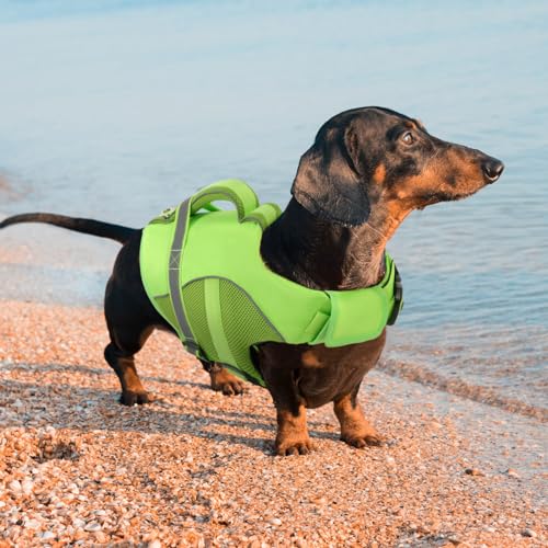 Queenmore Pet Apparel in X-Small, Green
