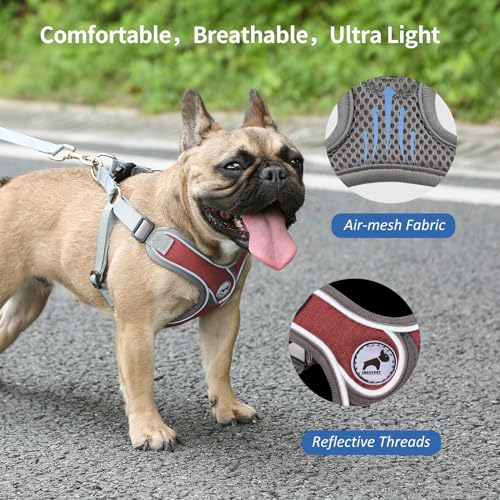 SAEGYPET Animal Harness in XS, Red