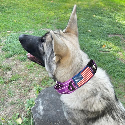 DEZIZEUSK9 Animal Collar in 16-25 INCH, PURPLE-COBVEL2