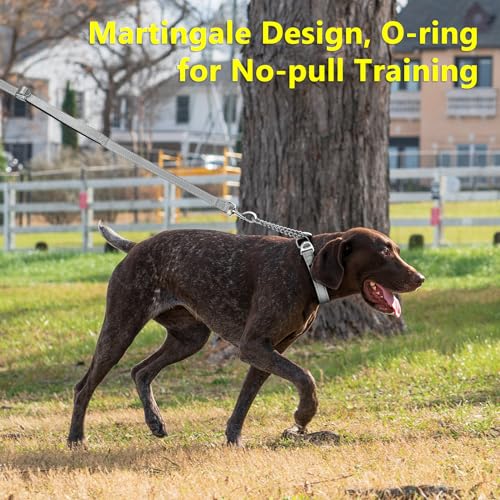 PLUTUS PET Animal Collar in Small, Gray