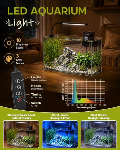 minilake Vivarium in 5 Gallon, Transparent