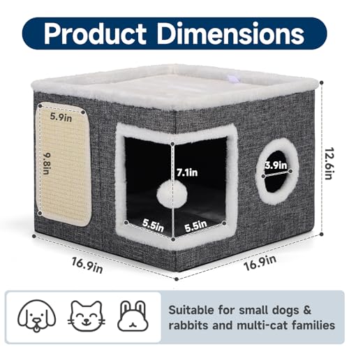 Shikha Animal Shelter in Large, Grey