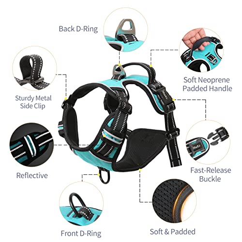 HEELE Animal Harness in S, Turquoise