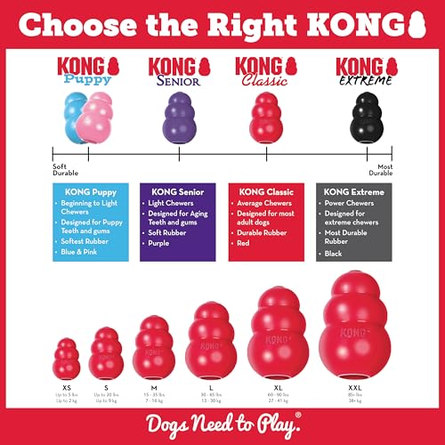 KONG Pet Toy in Medium (Pack of 1), Red