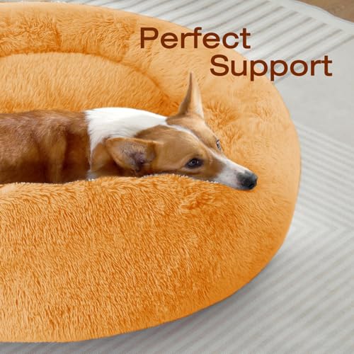 JOLLYVOGUE Pet Bed Mat in 36", Orange