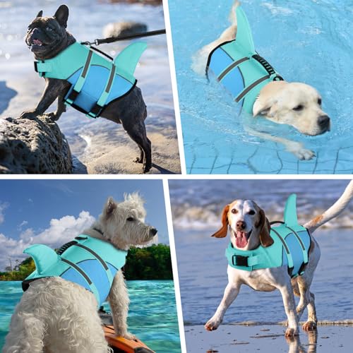 Doglay Pet Apparel in Small, Turquoise & Blue