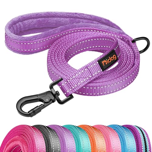 Didog Leash in 3/4''x 4 FT, Purple