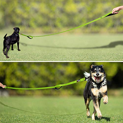 PLUTUS PET Leash in 4 FT, Green
