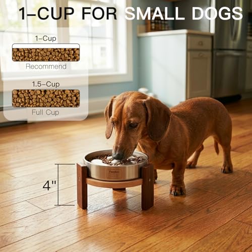 Feedoo Pet Feeder in 4'' Height Stand, 4" Height 1Cup Slow Feeder
