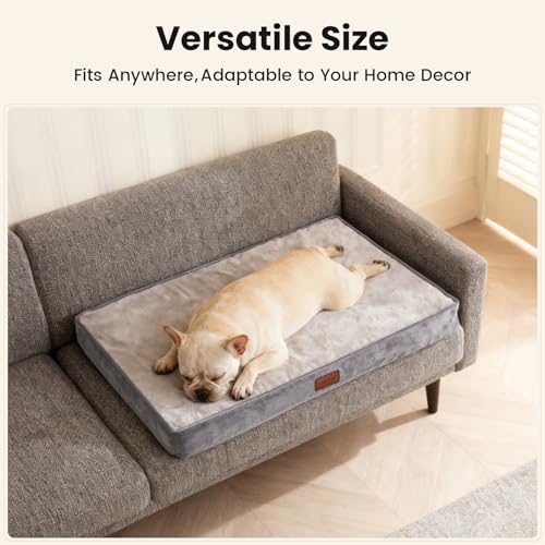 OhGeni Pet Bed Mat in 30" x 20" x 3" (For Sprawling), 01-Gray