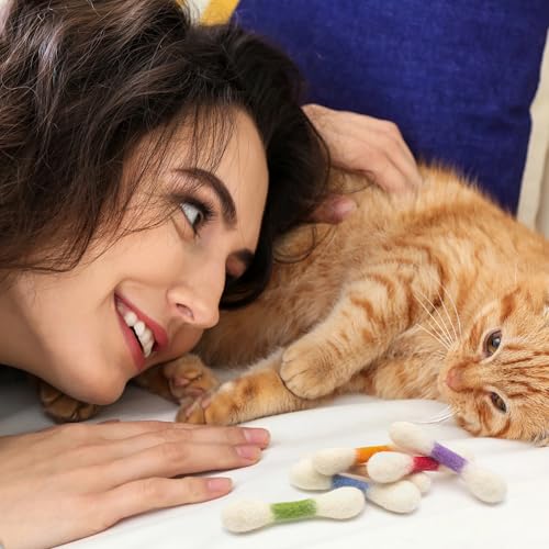 Glaciart One Pet Toy in Mini, Colorful Swabs