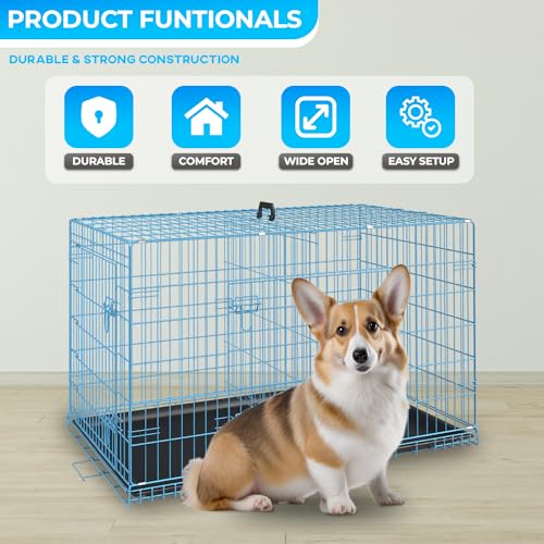 FDW Animal Cage in 24.0"L x 16.0"W x 19.0"H, Blue