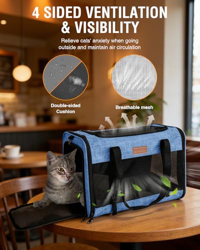 Petux Animal Carrier in 20.0"L x 13.0"W x 13.0"H, Blue